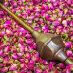festival de la rose Iran