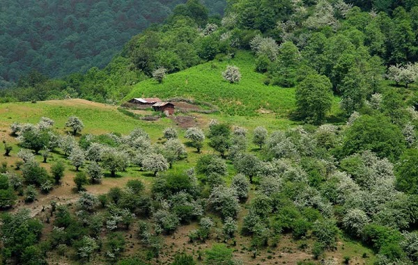 Le village Sangchal